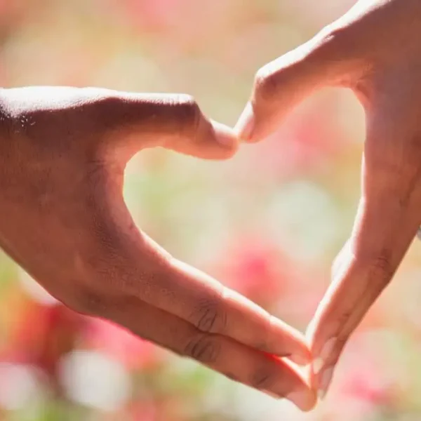 Online Dating Apps Are Actually Kind of a Disaster - Match Frauds